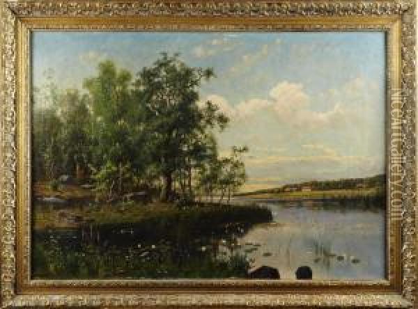 Insjolandskapmed Nackrosor Oil Painting - Jacob Johan Silven