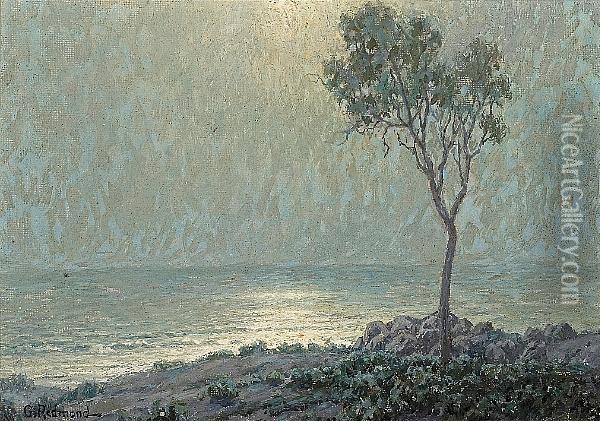 Lone Tree Along The Moonlit Coast Oil Painting - Granville Redmond