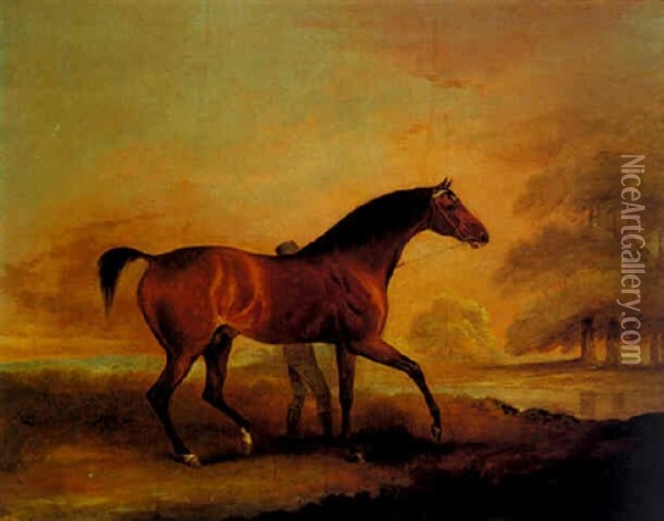 Podargus, A Bay Colt In A Landscape Oil Painting - Edwin Cooper