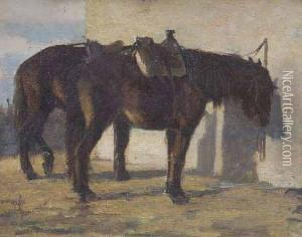 Cavallo Oil Painting - Eugenio Cecconi