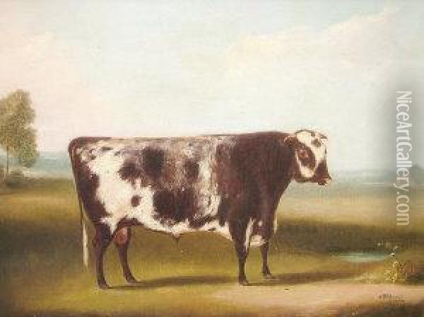 Portrait Of A Cow Standing In A Landscape; Oil On Canvas Oil Painting - William Henry Davis