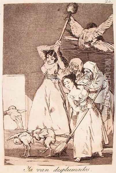 There They Go Plucked Oil Painting - Francisco De Goya y Lucientes