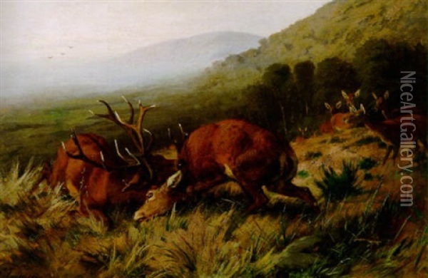 Kampfende Hirsche Auf Einer Waldlichtung Oil Painting - Carl Friedrich Deiker