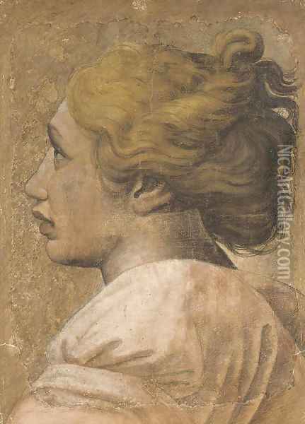 Head of a youth in profile to the left Cartoon for a tapestry Oil Painting - Raphael