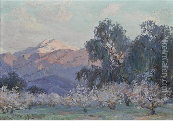 Evening Glow, Mount San Jacinto With Flowering Almond Trees Oil Painting - Anna Althea Hills