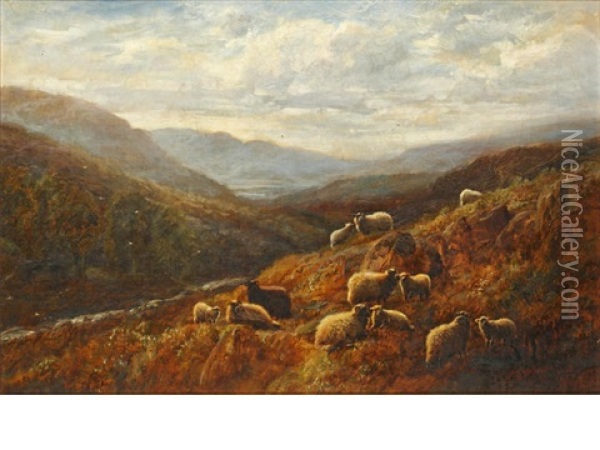 Sheep Grazing On A Hillside Oil Painting - Robert Watson