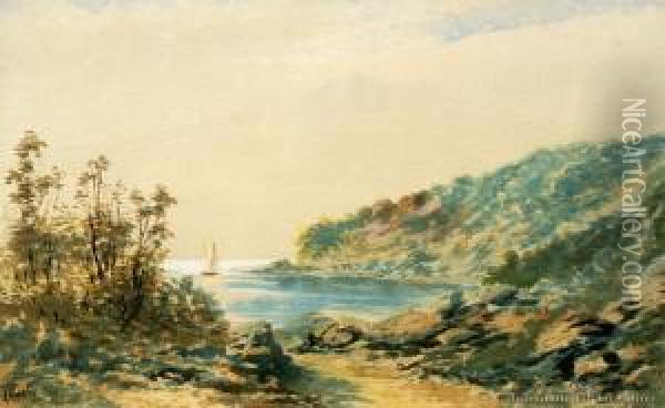 Doubtful Sound, Rose Hill Oil Painting - Tom Peerless