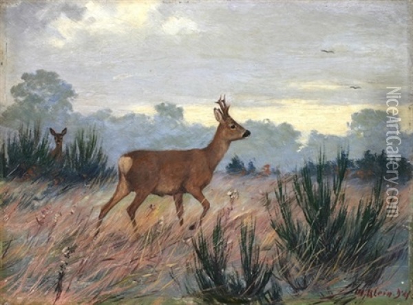 Waldwiese Mit Rehen Im Morgenlicht Oil Painting - Maximilian Klein Von Diepold