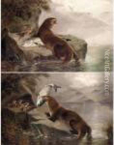An Otter Bringing A Salmon To Its Young; An Otter Guarding Its Young Oil Painting - Robert Cleminson