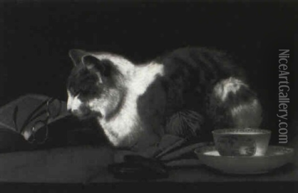 Cat Nap Oil Painting - John Henry Dolph