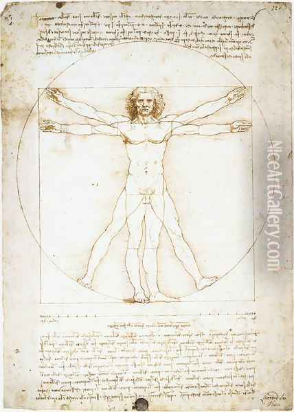 man proportions Oil Painting - Leonardo Da Vinci