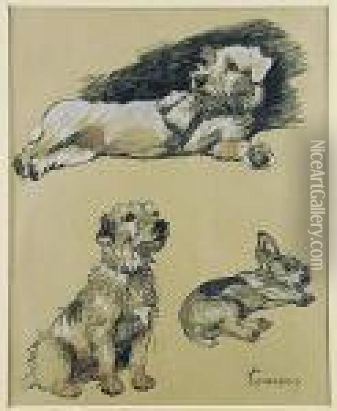 Perros Oil Painting - Cecil Charles Aldin