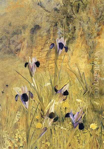 Irises in the Garden Oil Painting - Henry Roderick Newman