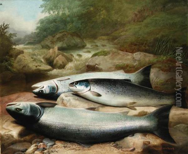 Three Salmon On A Rocky Riverbank Oil Painting - John Russell