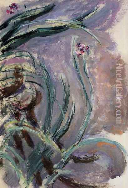 Irises2 Oil Painting - Claude Oscar Monet
