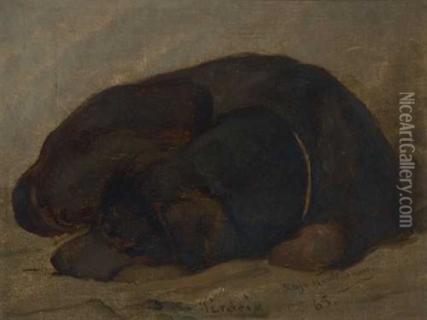 Schlafender Wachtelhund Oil Painting - Hugo Wilhelm Kauffmann