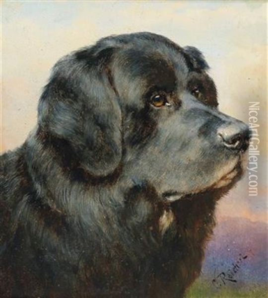 A Newfoundland Dog Oil Painting - Carl Reichert