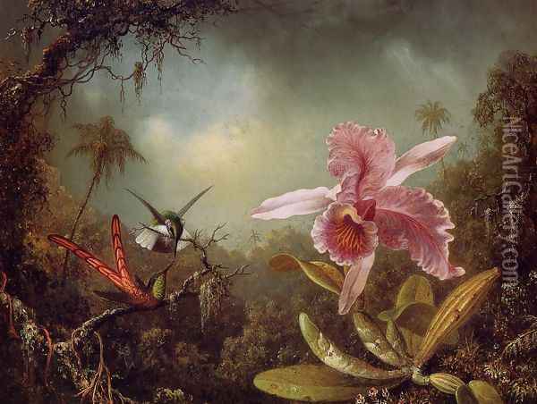 Orchid With Two Hummingbirds Oil Painting - Martin Johnson Heade