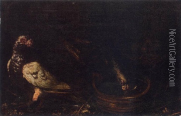 Pigeons At A Water Bowl With Squabs In A Nest Oil Painting - Pietre-Neri Scacciati