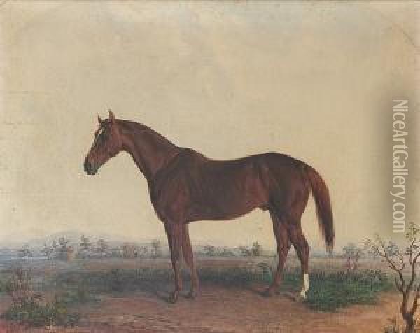 Portrait Of A Horse In A Southern Landscape Oil Painting - Edward Troye