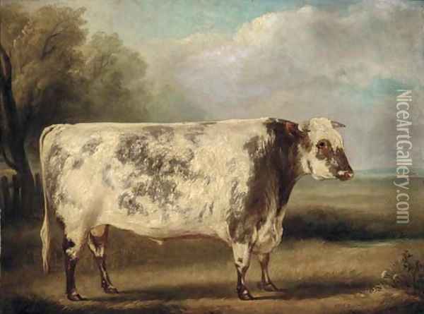 A prize bull in a field Oil Painting - William Henry Davis