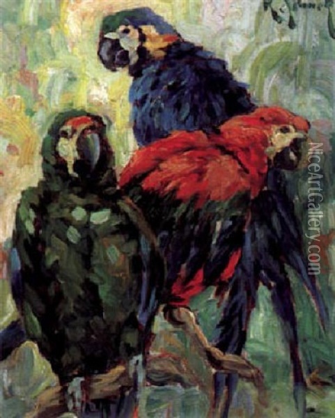 Drei Bunte Papageien Auf Einem Ast Oil Painting - Rudolph Jelinek