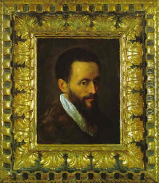 Testa Di Uomo Barbuto Oil Painting - Jacopo Palma il Giovane