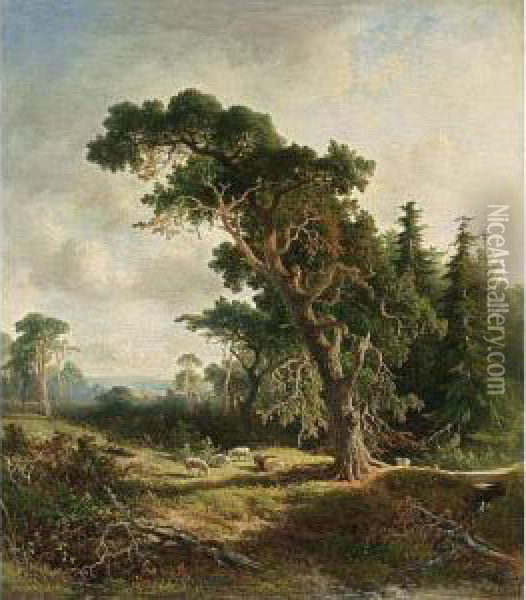 A Sheperd And His Flock In A Wooded Landscape Oil Painting - Johannes Warnardus Bilders