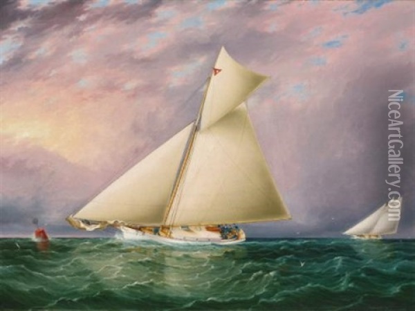Yacht Race In New York Harbor Oil Painting - James Edward Buttersworth