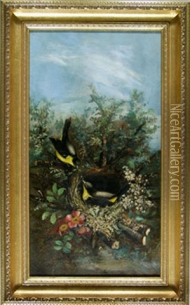 Birds And Blossoms Oil Painting - Charles Connor