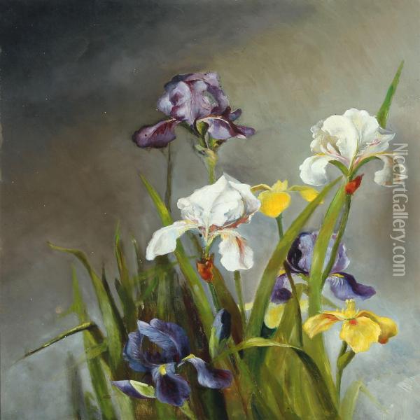Still Life With Iris Oil Painting - Augusta Dohlmann