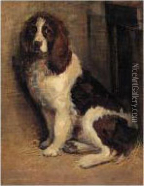 A Study Of A Spaniel Oil Painting - Samuel Fulton