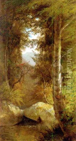 A River Running Through A Forest With A View Of A Mountain Through The Trees Oil Painting - Charles Day Hunt