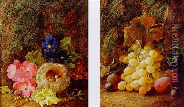 Violas, Antirrhinum, Wallflowers And A Bird Nest Oil Painting - Vincent Clare