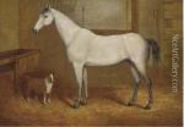 A Grey With A Terrier In A Stable Oil Painting - John Charles Maggs