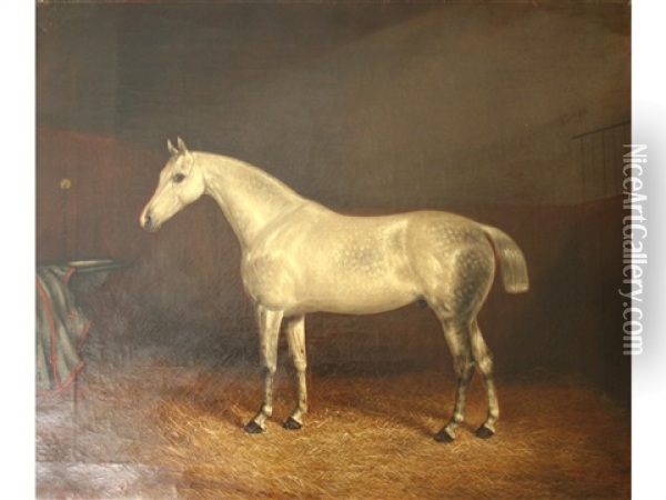 A Grey Horse In A Loose Box (pair) Oil Painting - Albert Clark