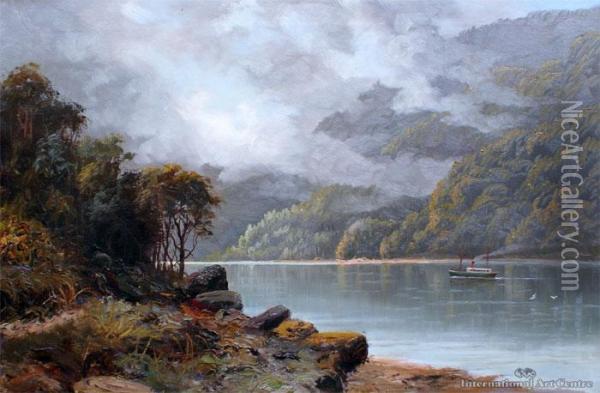 Steamer In Dusky Sound Oil Painting - Ernest William Christmas