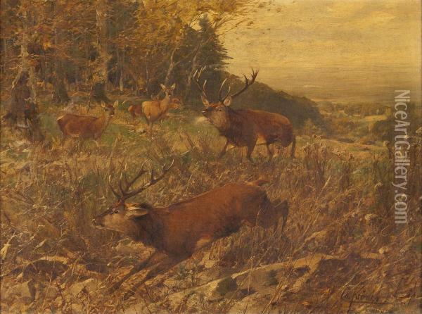 Der Hirschkampf Oil Painting - Christian Johann Kroner
