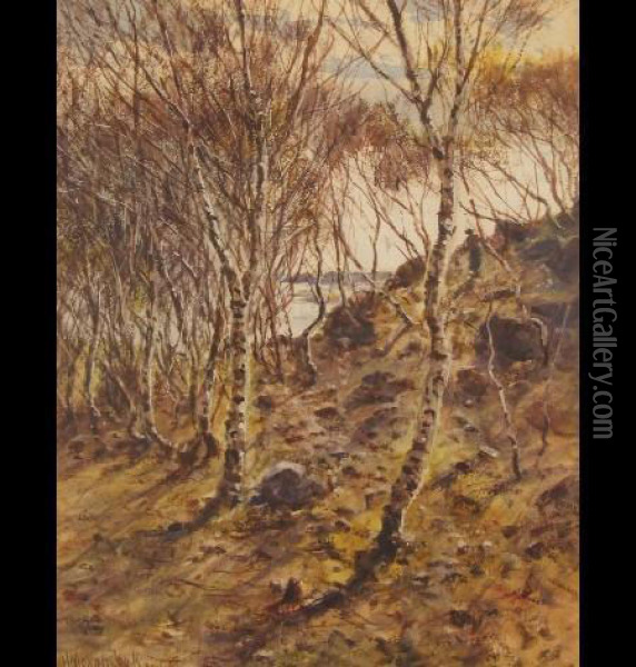 Woodland Scene With Figure In The Distance Oil Painting - Herbert Moxon Cook
