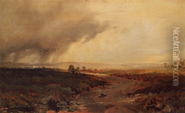 Landscape With Rainstorm Oil Painting - Erskine Nicol