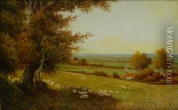 Sheep In The Meadow Oil Painting - William Manners
