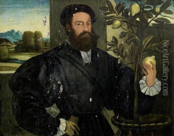 Portrait Of A Gentleman, Half-length, Standing Before A Lemon Tree And Holding A Lemon Oil Painting - Giovanni Cariani