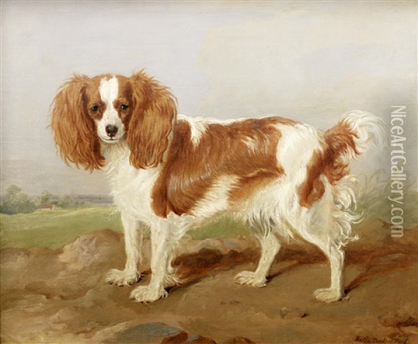 A Brown And White Spaniel In A Landscape Oil Painting - Martin Theodore Ward