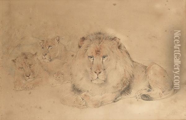 The Pride Of Lions Oil Painting - William Huggins