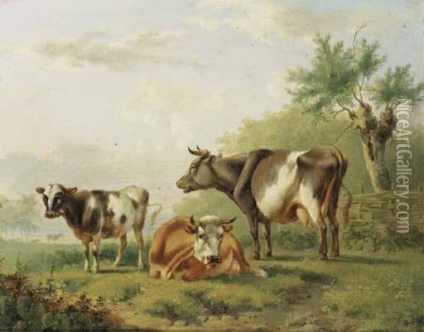 Cows By A Fence Oil Painting - Albertus Verhoesen