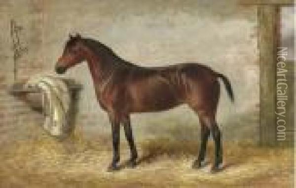 A Bay Hunter In A Stable Oil Painting - George Earl