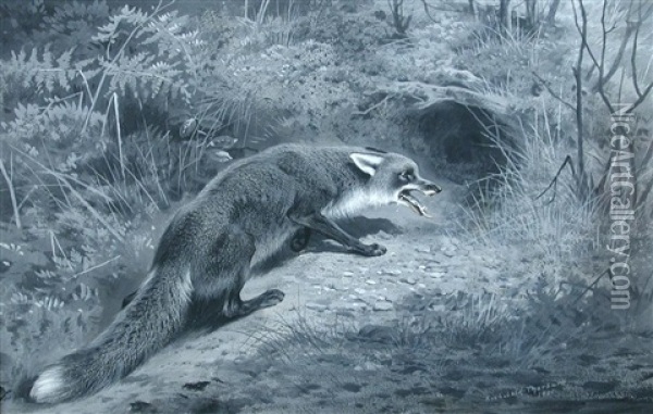 Study Of A Fox Oil Painting - Archibald Thorburn