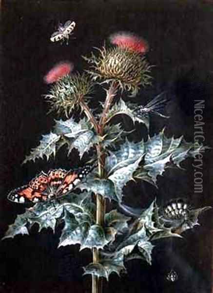 A Study of a Thistle with Insects Oil Painting - Barbara Regina Dietzsch