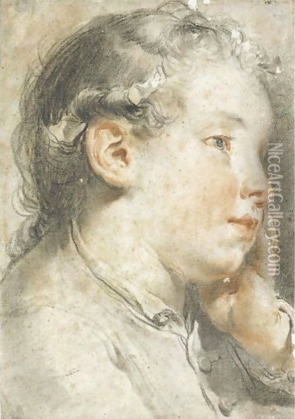 Portrait Of A Young Boy Oil Painting - Gaetano Gandolfi