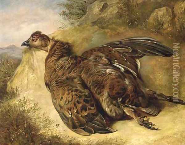A grouse on a bank Oil Painting - English School
